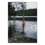 Lac brown cartes