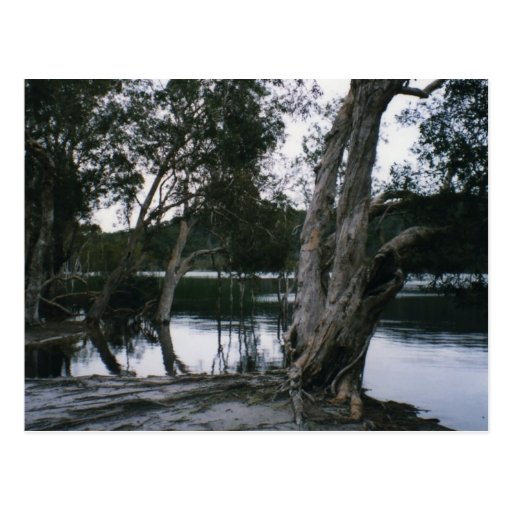 Lac brown cartes postales