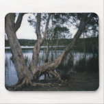 Lac brown tapis de souris