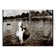 Lac swan carte de vœux
