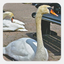 Lac Windermere Angleterre Autocollant Carré