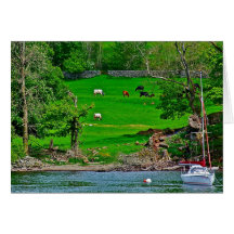 Lac Windermere stationnaire Cartes De Vœux