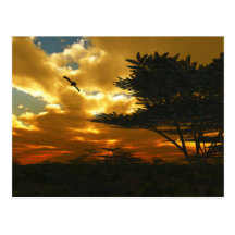 L'Africain surface la carte postale