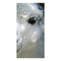 Lama Persoonlijke Fotokaarten