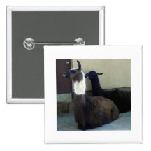 Lamas Badge Avec Épingle