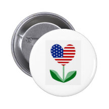L'AMÉRIQUE PIN'S AVEC AGRAFE