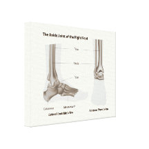 L'anatomie de pied a étiré la copie de toile toiles tendues sur châssis