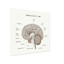 L'anatomie d'esprit humain a étiré la copie de toi impression sur toile
