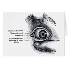 L'anatomie du gris - globe oculaire carte de vœux