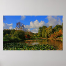 Landschap Afdruk