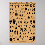 L'animal dépiste l'affiche