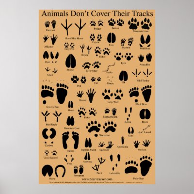 L'animal dépiste l'affiche par tracker8459