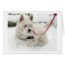 L'anniversaire de carte de voeux de Westie merci o