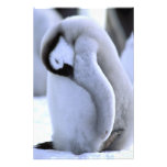 L'Antarctique, péninsule antarctique, mer de Wedde Art Photographique