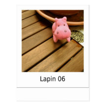 Lapin 06 carte postale