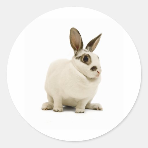 Lapin Autocollant