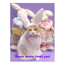 Lapin Bubba 3 Carte Postale