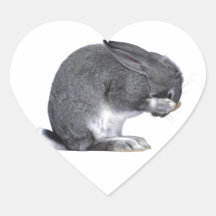 Lapin de désespoir autocollants