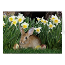 Lapin de Pâques cartes