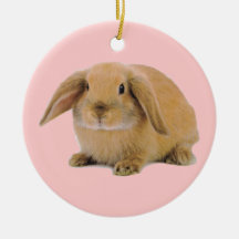 Lapin mignon de Kawaii Ornements De Noël