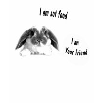 Lapin