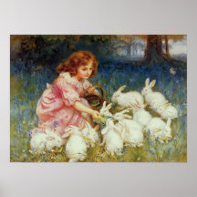 Lapins blancs de alimentation de fille affiches