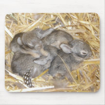 Lapins de lapin tapis de souris