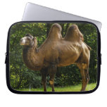 Laptop van Kameel twee Humped Sleeve Computer Sleeves