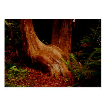 L'arbre se reposant cartes de visite personnelles