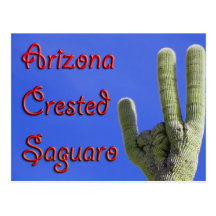 L'Arizona Crested le Saguaro Carte Postale