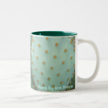L'Arizona/Phoenix/cactus/poire de Prickley Mugs