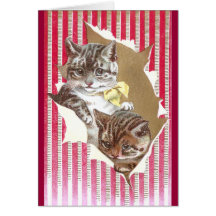Larme de chats par le papier d'emballage cartes de vœux