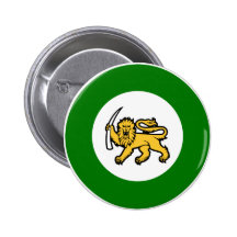 L'Armée de l'Air de Rhodesian Badge Avec Épingle