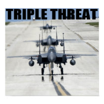 L'Armée de l'Air F-15 Eagles posters