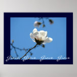 L'art de grâce de grâce de grâce imprime la magnol poster
