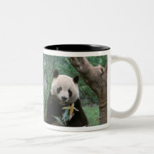 L'Asie, Chine, Chengdu. Sanctuaire de panda géant  Mug