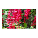 L'Astilbe rouge fleurit des cartes de visite Modèle De Carte De Visite