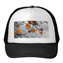 L'automne dernier laisse l'illustration casquette