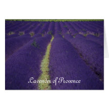 Lavande de la Provence Carte De Vœux