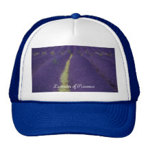 Lavande de la Provence Casquette De Camionneur