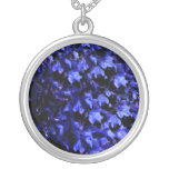 Le bleu laisse le collier