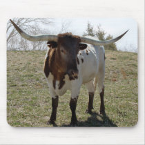 Le boeuf rouan de Longhorn personnalisent si désir