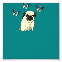 le carlin aime des papillons tirages photo
