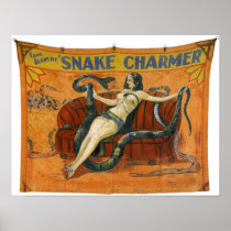 Le charmeur de serpent