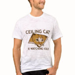 Le chat de plafond vous observe ! - Adapté aux bes