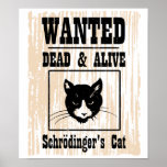 Le chat de Schrodinger voulu Affiche