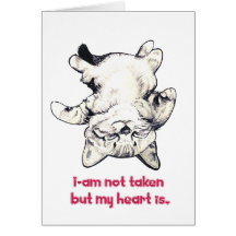Le chat de Valentine Cartes De Vœux