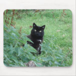 Le chat noir dans l'herbe semble Mousepad curieux Tapis De Souris