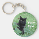Le chat noir de Halloween dans l'herbe semble le p