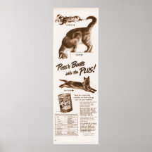 Le chat vintage 'n initialise l'annonce d'aliments affiche